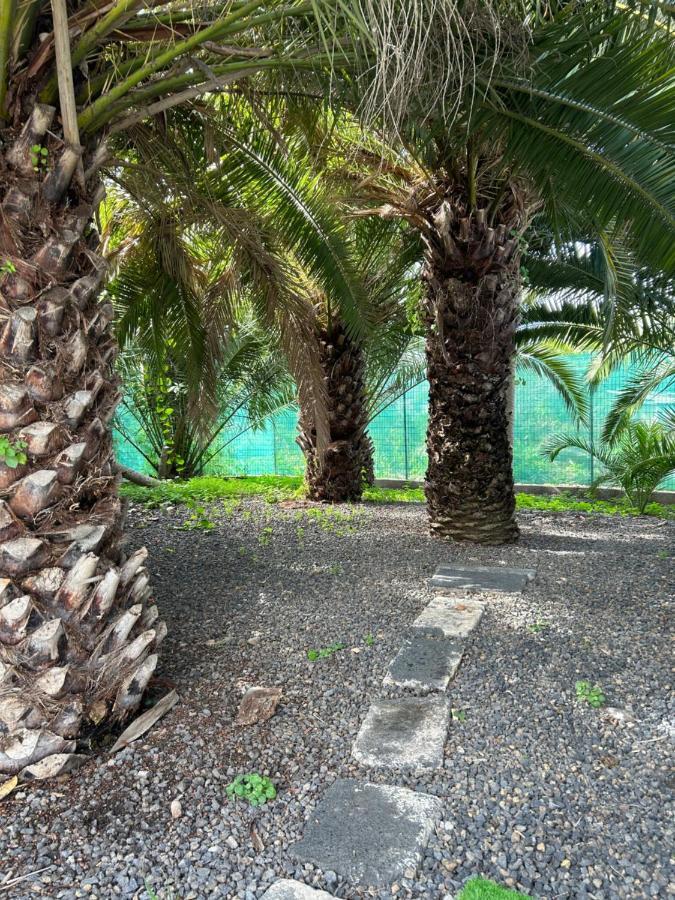 Casa Beatriz Villa La Orotava Eksteriør billede